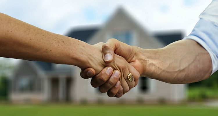 Selling Eco-Friendly Home Decoration Products