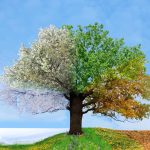 Seasonal Lifestyle Sales Strategies for Holidays