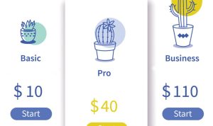 Subscription Models for Hardware-as-a-Service Overview