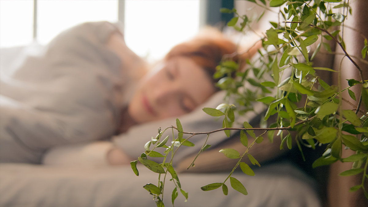 Enhance Sleep Quality Naturally