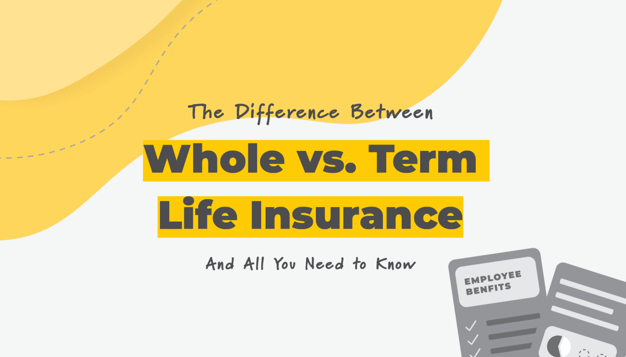 Differences Between Term And Whole Life Insurance