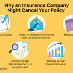 Process For Canceling An Insurance Policy Made Easy
