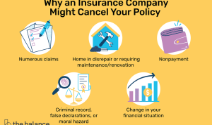 Process For Canceling An Insurance Policy Made Easy