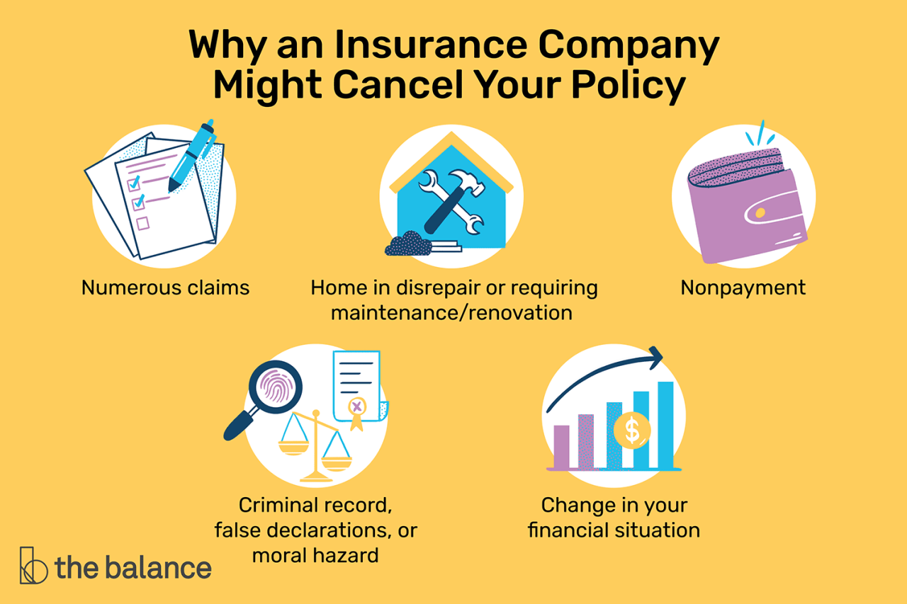 How To Cancel A Gerber Life Insurance Policy | LiveWell Process For Canceling An Insurance Policy
